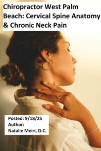 Chiropractor West Palm Beach: Cervical Spine Anatomy and Chronic Neck Pain